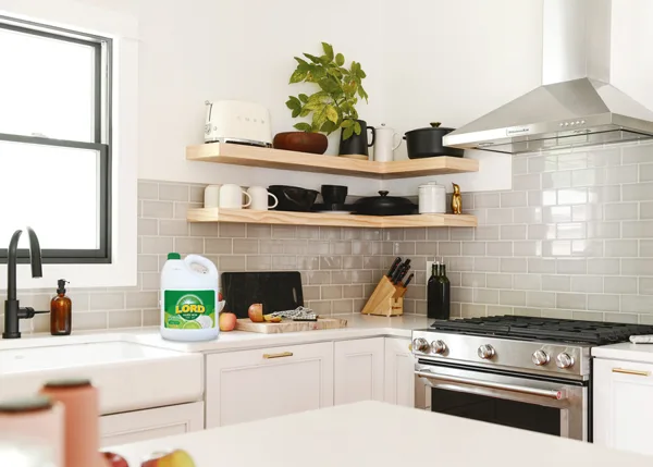 The unexpected use of the Lord's dishwashing liquid with lemon water