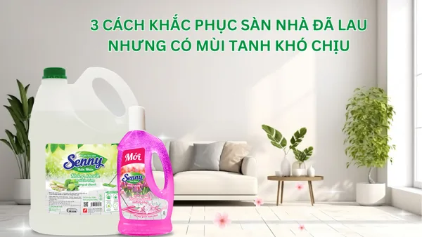 3 Cách Khắc Phục Sàn Nhà Đã Lau Nhưng Vẫn Có Mùi Tanh Khó Chịu