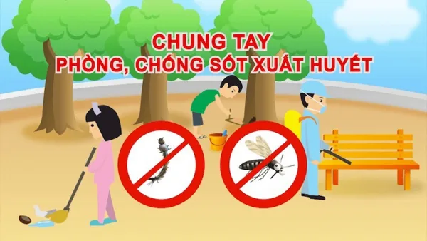 Prevent dengue fever effectively with doing this every day