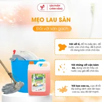 Senny Cinnamon Floor Cleaner 9.36kg