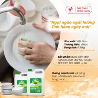 Lord dishwashing cleaner