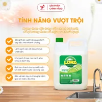 Lord dishwashing cleaner