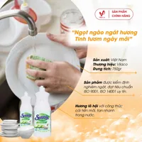 Natural Dishwashing Liquid Senny