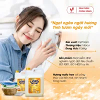 LORD GOLD laundry detergent with fragrance 3.5 kg