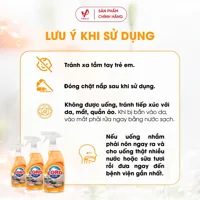 Lord Lime Kitchen Cleaner 500g