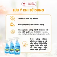 Lord glass cleaner