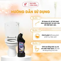 Lord Toilet Cleaner