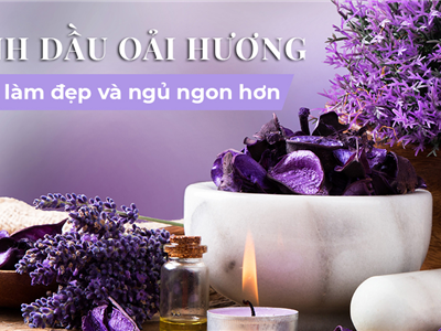 Lợi ích không ngờ của tinh dầu oải hương(Lavender). Bạn có biết?